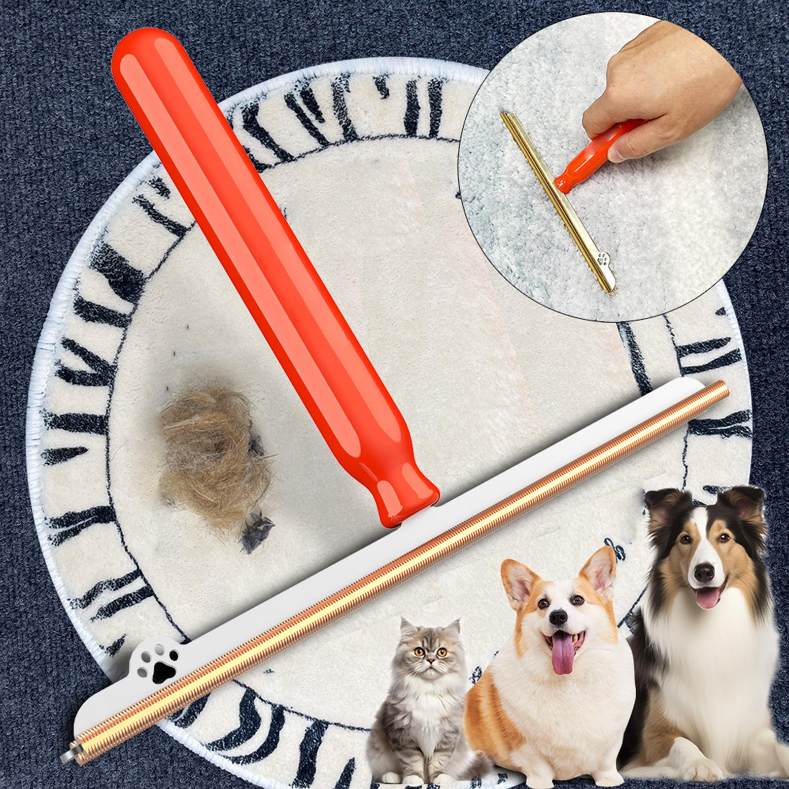 1pc Carpet Rake For Pet Hair R - Furniture Hardware Manufacturer review and price